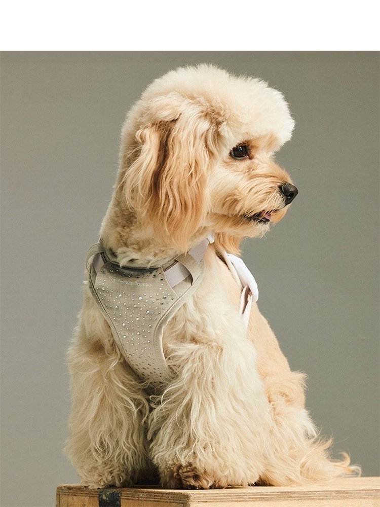 Not Boring Dog Harness & Bandana Set