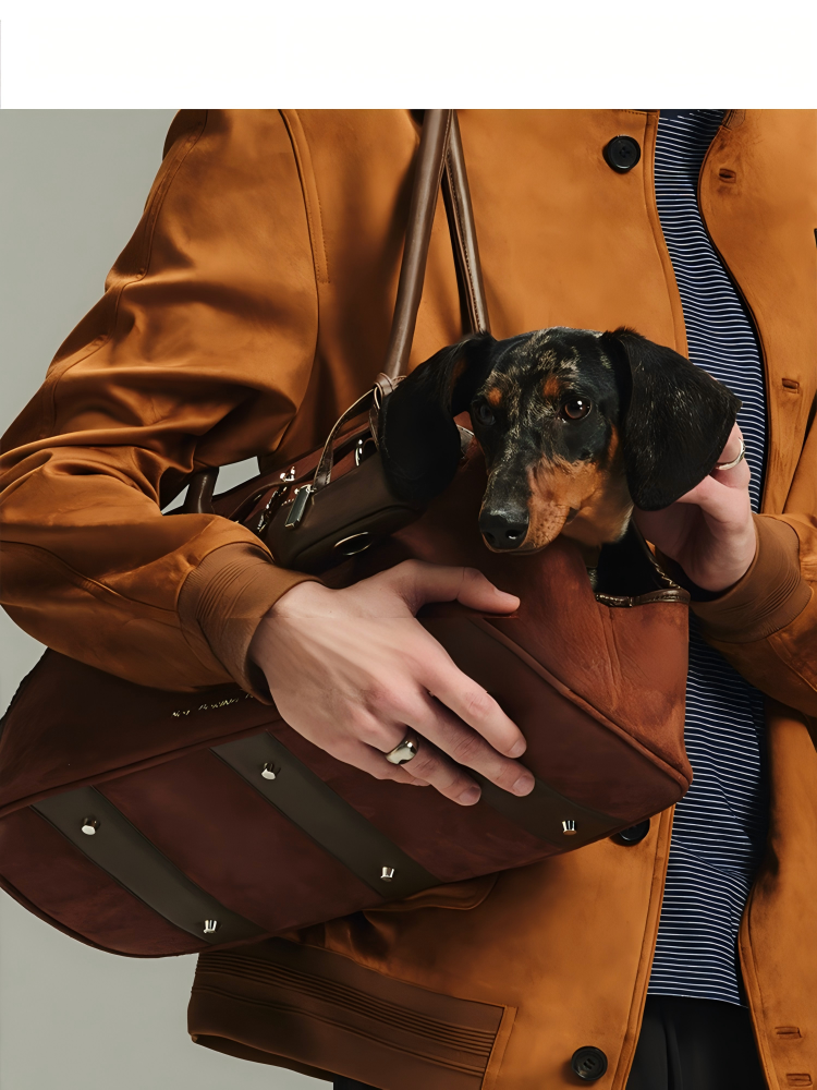 NOT BORING Boreboi Soft Suede Pet Handbag with Detachable Pouch