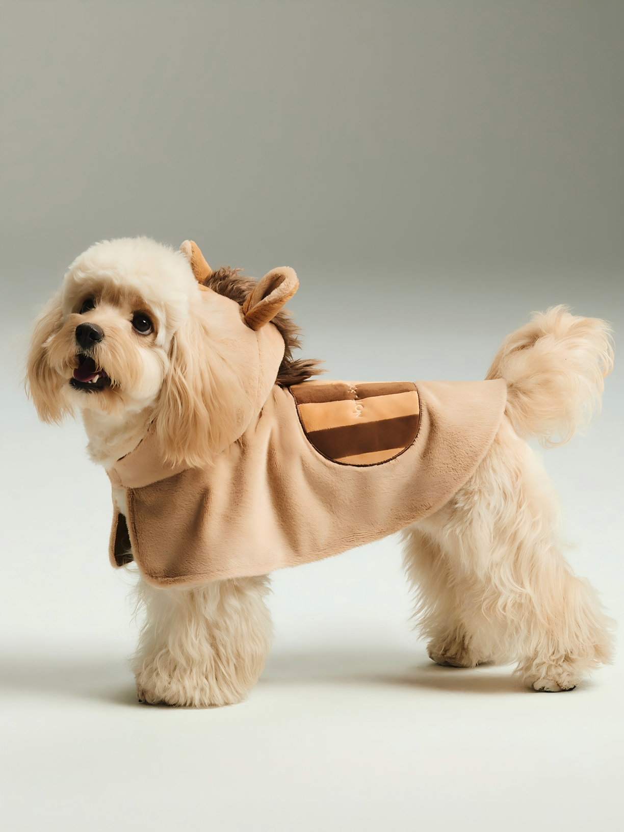 Not Boring Boreboi  Festive Horse Themed Dog Hooded Cape
