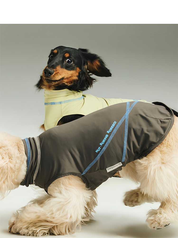 NOT BORING Quick-Dry Dog Cooling Vest