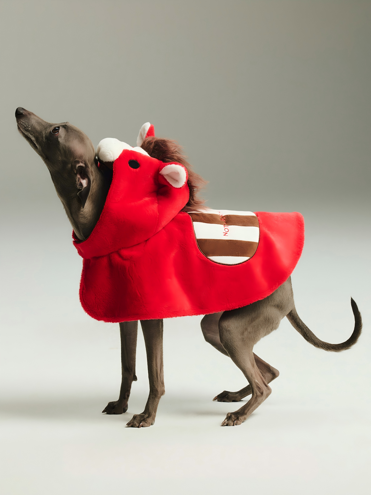 Not Boring Boreboi  Festive Horse Themed Dog Hooded Cape