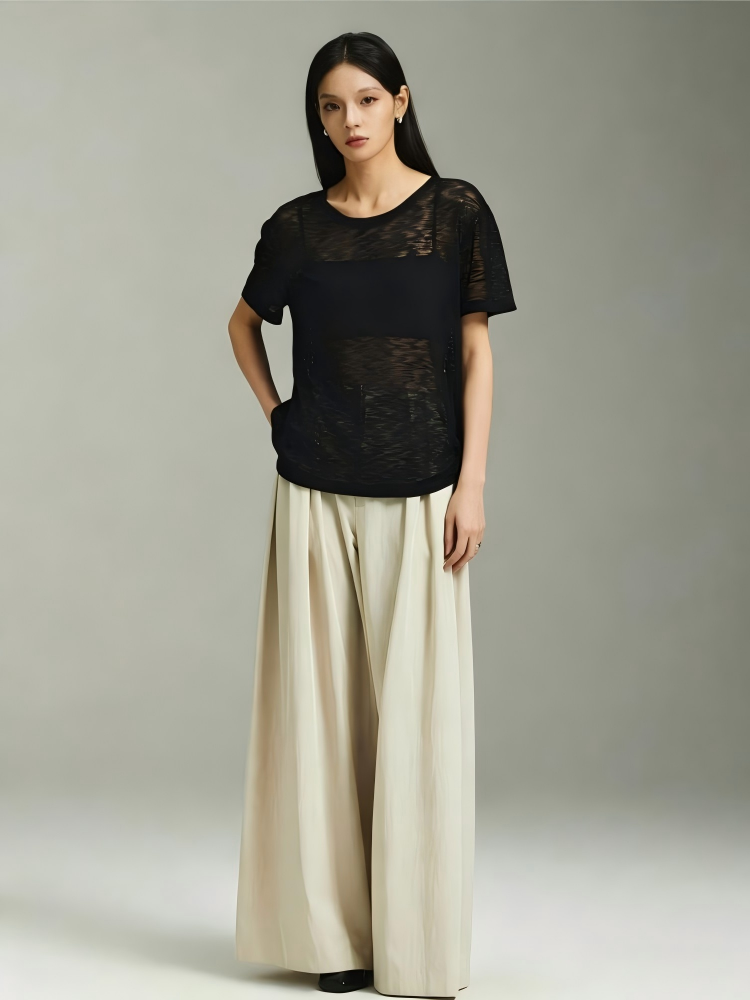 Not Boring Sheer Knit Oversized Short-Sleeve Top