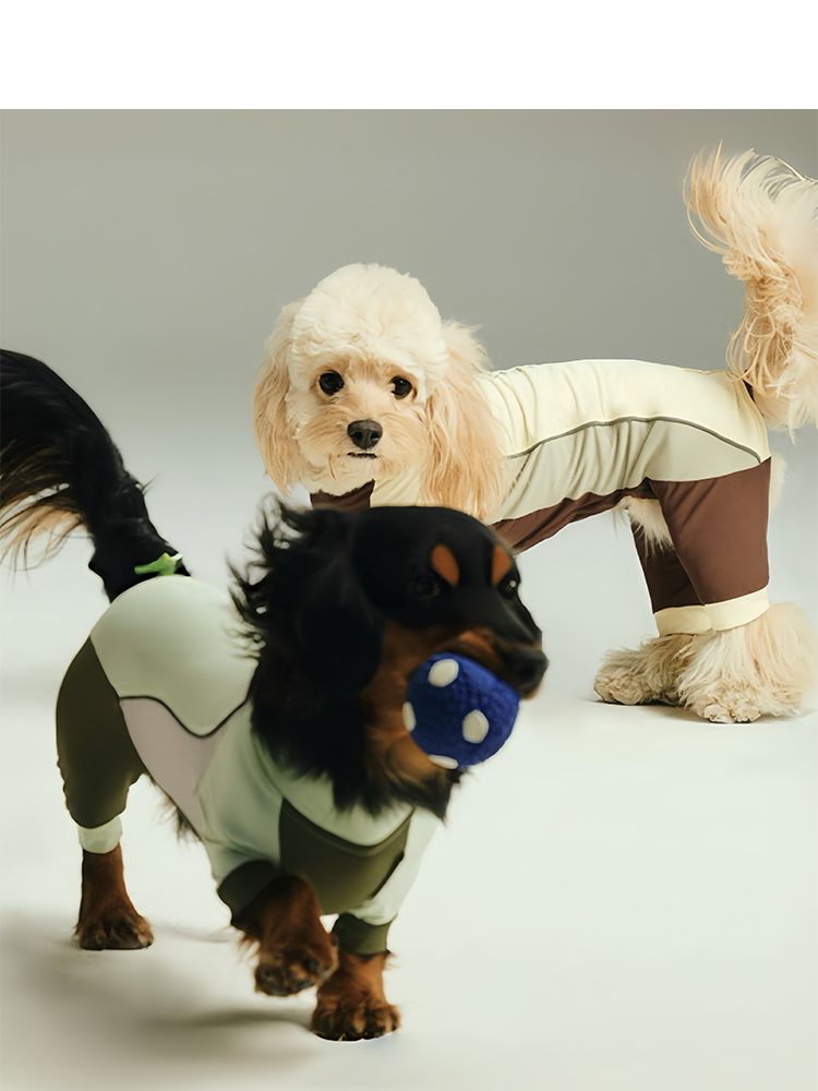 NOT BORING Quick-Dry Dog Cooling Jumpsuit