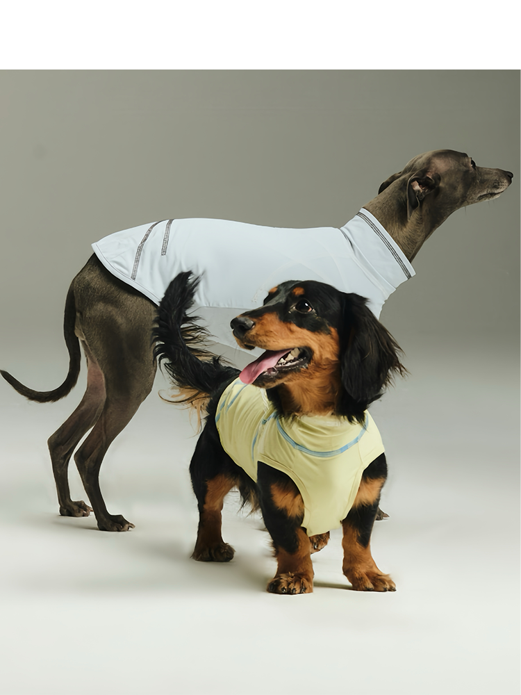 NOT BORING Quick-Dry Dog Cooling Vest